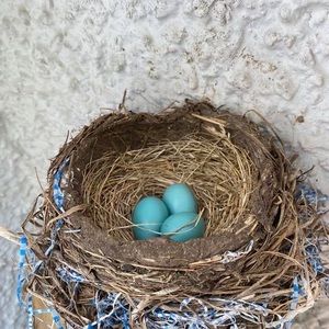 Meet your Posher, Benjamin